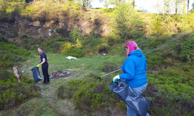 Scouts Restore Blighted Beauty Spot