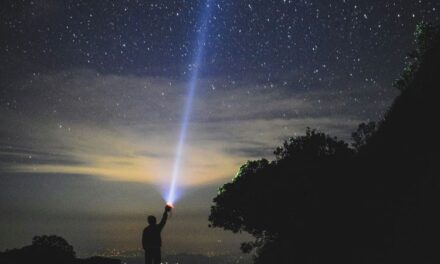 The Road To Success Is Illuminated