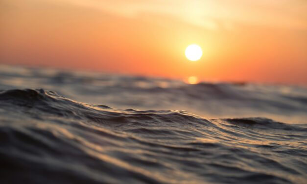 A Smooth Sea Never Made a Skilful Sailor